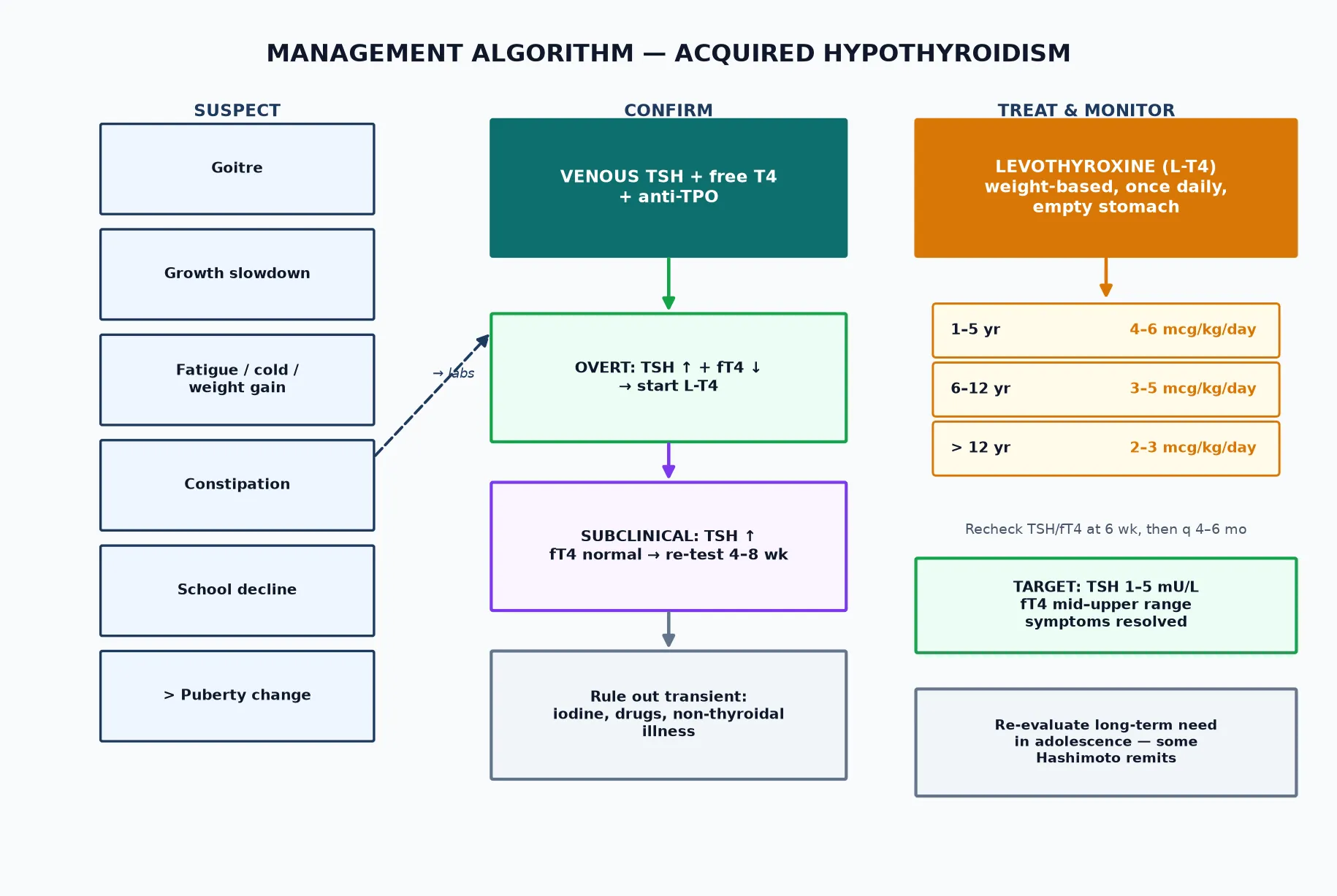 Management algorithm infographic: suspect (goitre, growth slowdown, fatigue, constipation, school decline, puberty change) → confirm (venous TSH + free T4 + anti-TPO; overt vs subclinical vs central) → treat and monitor with weight-based levothyroxine dosing by age and TSH targets