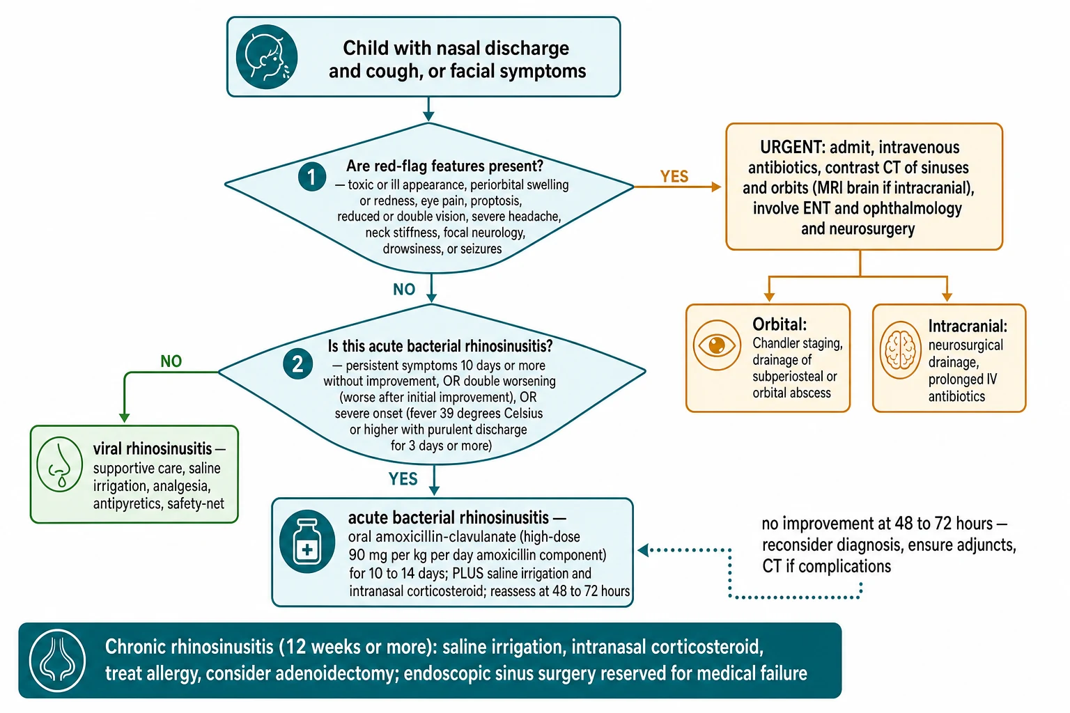 Stepwise clinical decision pathway for a child with nasal discharge and cough: a first decision diamond asks whether red-flag features are present — periorbital swelling, proptosis, vision change, severe headache, meningism or focal neurology — and if yes the child is admitted for intravenous antibiotics, contrast CT of the sinuses and orbits with MRI if intracranial, and ENT, ophthalmology and neurosurgery, with orbital drainage by Chandler stage and neurosurgical drainage for intracranial collections; if no, a second diamond applies the AAP criteria — persistent symptoms beyond ten days, double worsening, or severe onset — and if absent the child is managed supportively for viral rhinosinusitis with saline irrigation, analgesia and a safety-net, while if present the child receives high-dose amoxicillin-clavulanate with saline irrigation and an intranasal corticosteroid for ten to fourteen days with reassessment at forty-eight to seventy-two hours; a dotted loop returns no-improvement cases to reconsideration and CT; a footer notes the chronic rhinosinusitis pathway of saline irrigation, intranasal corticosteroid and treatment of allergy, with endoscopic sinus surgery for medical failure