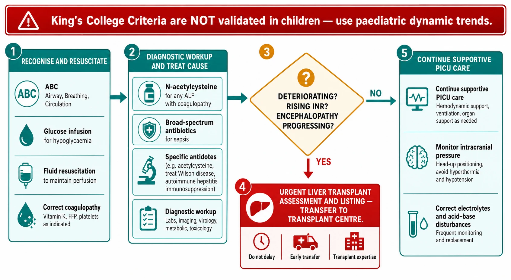 Management algorithm flowchart showing recognition and resuscitation, diagnostic workup with empirical N-acetylcysteine, a decision point for deterioration, with a yes path to urgent liver transplant assessment and listing and a no path to continued intensive care, with a warning banner that King's College Criteria are not validated in children.