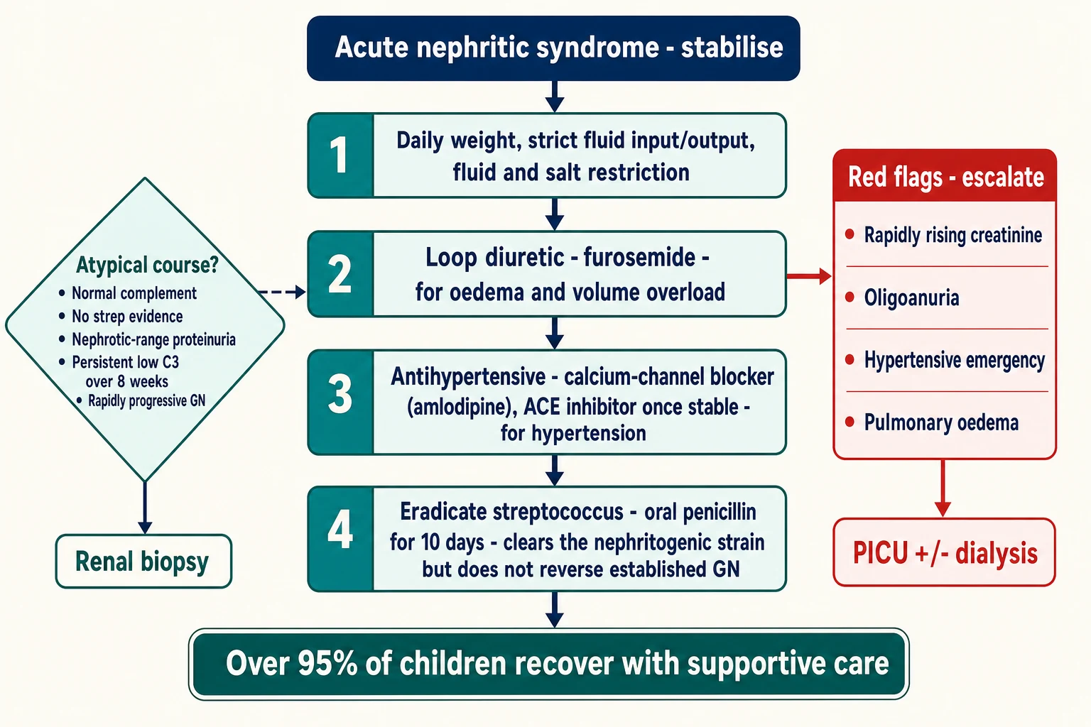 Stepwise management algorithm for acute nephritic syndrome from supportive care through streptococcal eradication to escalation triggers