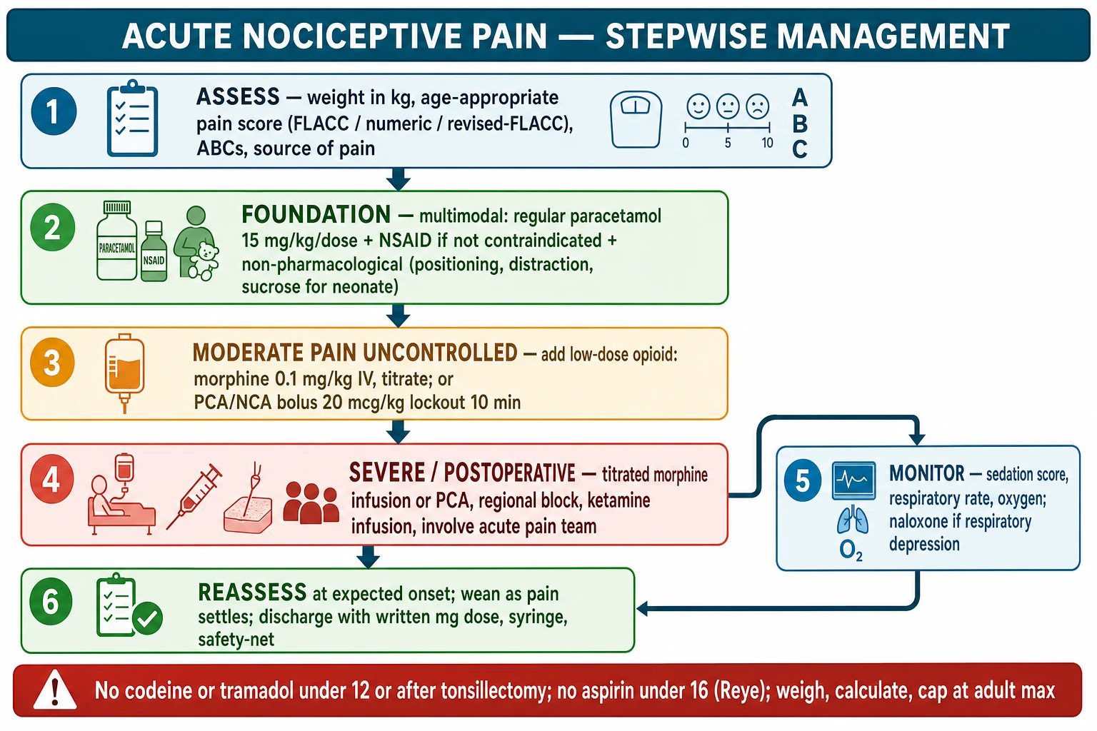 Reviewed educational flowchart of the stepwise acute pain management algorithm. Box one assess with weight and an age-appropriate score. Box two build a multimodal foundation of regular paracetamol and an NSAID plus non-pharmacological measures. Box three add a low-dose opioid morphine for moderate pain, titrated or by PCA or NCA. Box four for severe or postoperative pain add a titrated infusion, regional block and ketamine, and the acute pain team. Box five monitor the sedation score and respiratory rate with naloxone available. Box six reassess at the expected onset and wean with a written discharge plan. A red strip warns no codeine or tramadol under 12 or after tonsillectomy and no aspirin under 16.