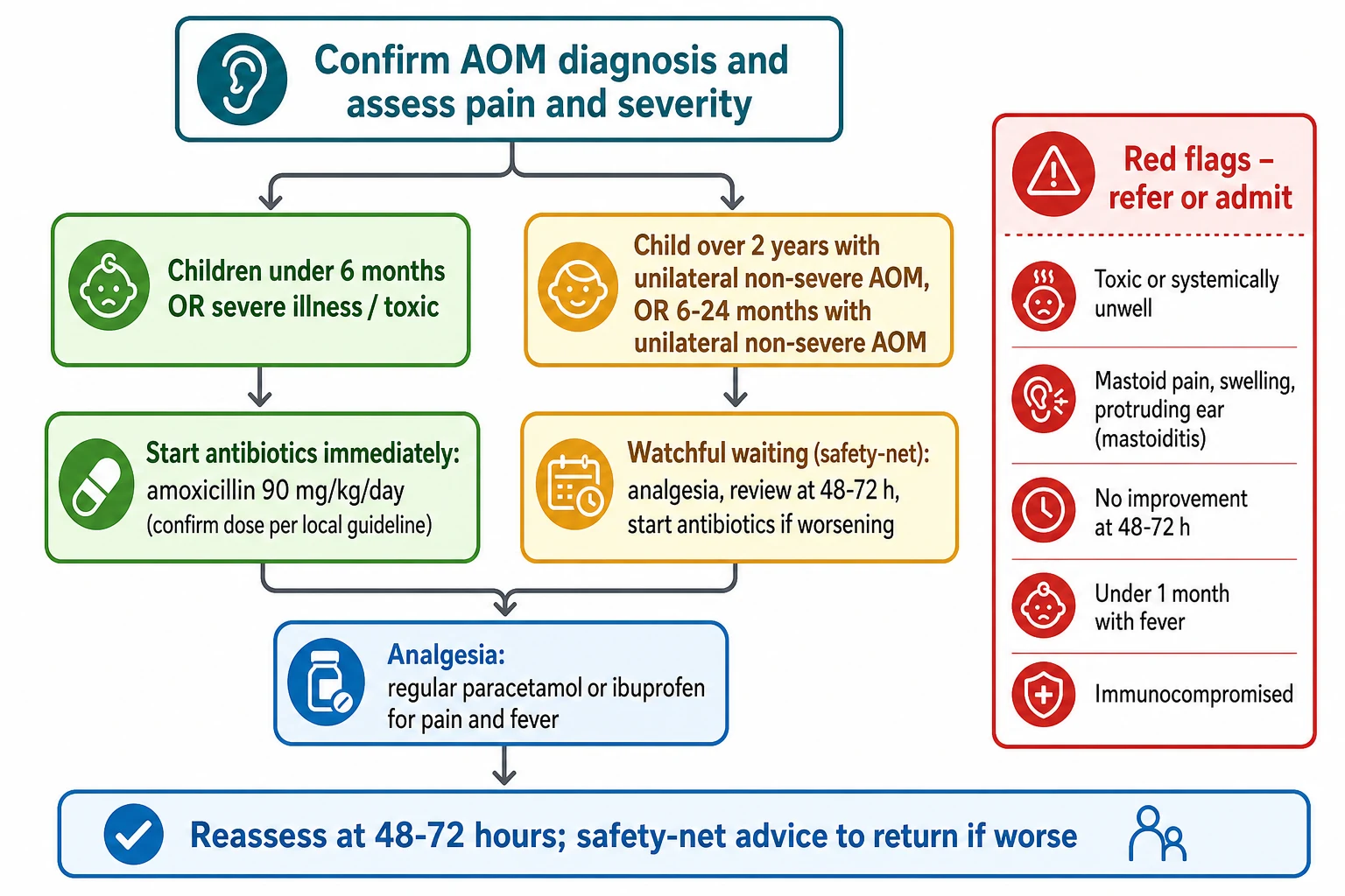 Educational management algorithm for acute otitis media showing the diagnosis step, the age-and-laterality decision between immediate antibiotics and watchful waiting with a safety-net, universal analgesia, reassessment at 48 to 72 hours, and a red-flag escalation panel