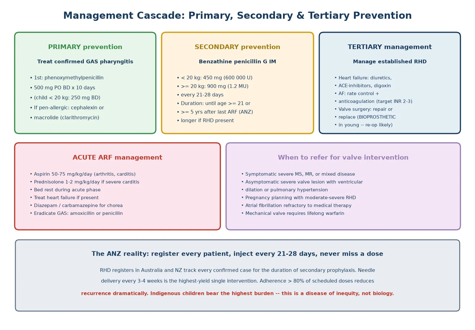 Management cascade in three tiers — primary prevention treating confirmed GAS pharyngitis with ten days of oral phenoxymethylpenicillin, secondary prevention with intramuscular benzathine penicillin G every twenty-one to twenty-eight days until age twenty-one or longer, and tertiary management of established rheumatic heart disease with heart failure therapy, anticoagulation for atrial fibrillation, and valve surgery — beside a box on acute ARF management with aspirin, prednisolone, bed rest, and chorea treatment, and a bottom panel on the ANZ register-based reality and the disease-of-inequity framing