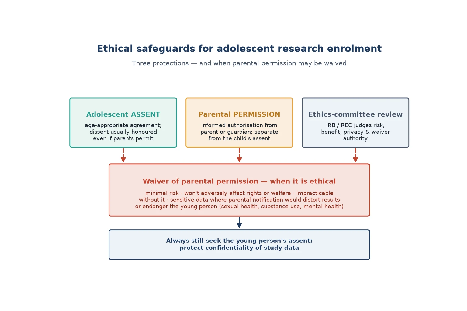Educational schematic of the three safeguards for ethical adolescent research enrolment — the young person's assent, parental permission, and research-ethics-committee review — with the conditions under which parental permission may be waived
