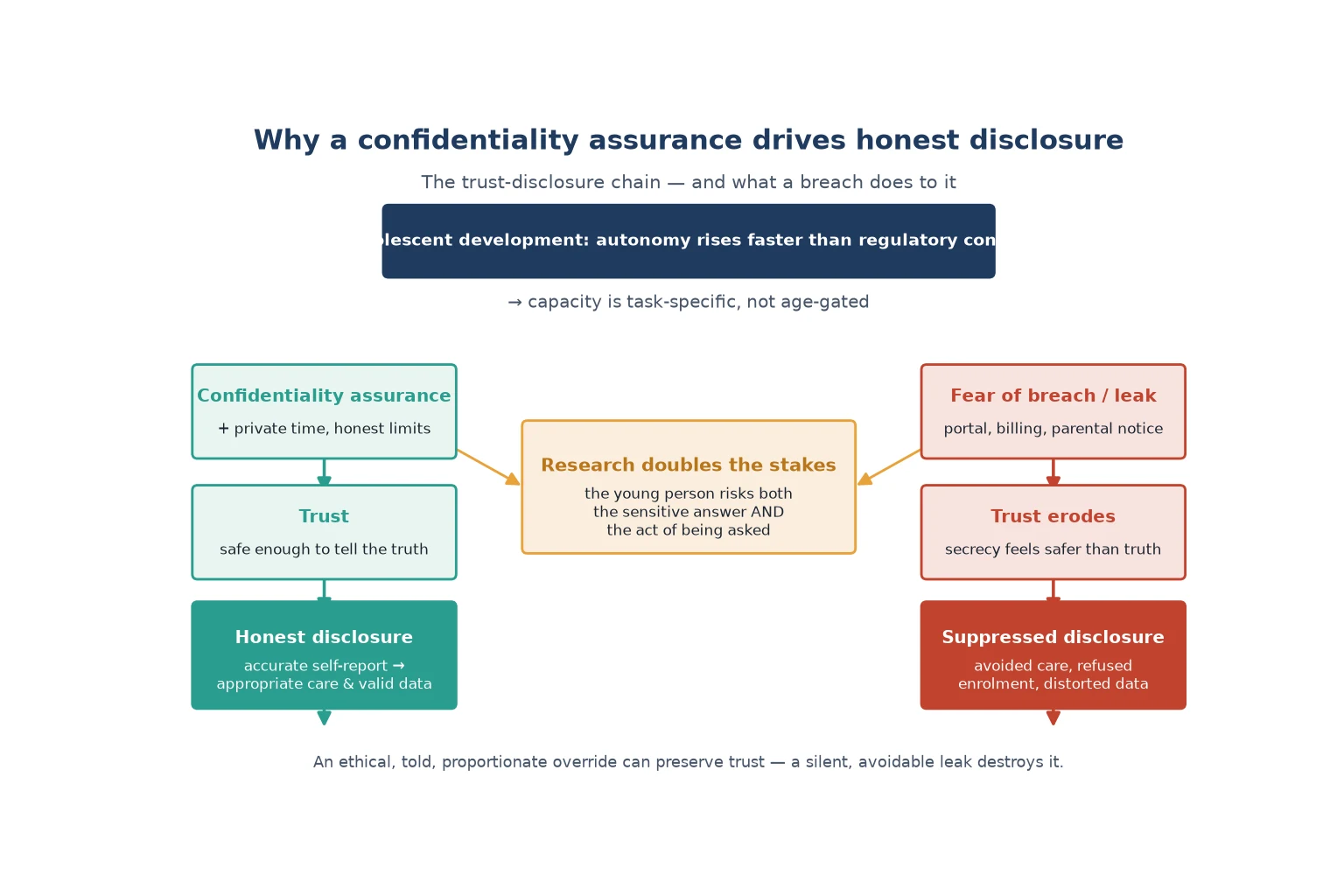 Educational mechanism diagram showing how a confidentiality assurance builds trust and enables honest disclosure and valid research self-report, while fear of a breach suppresses disclosure and distorts data