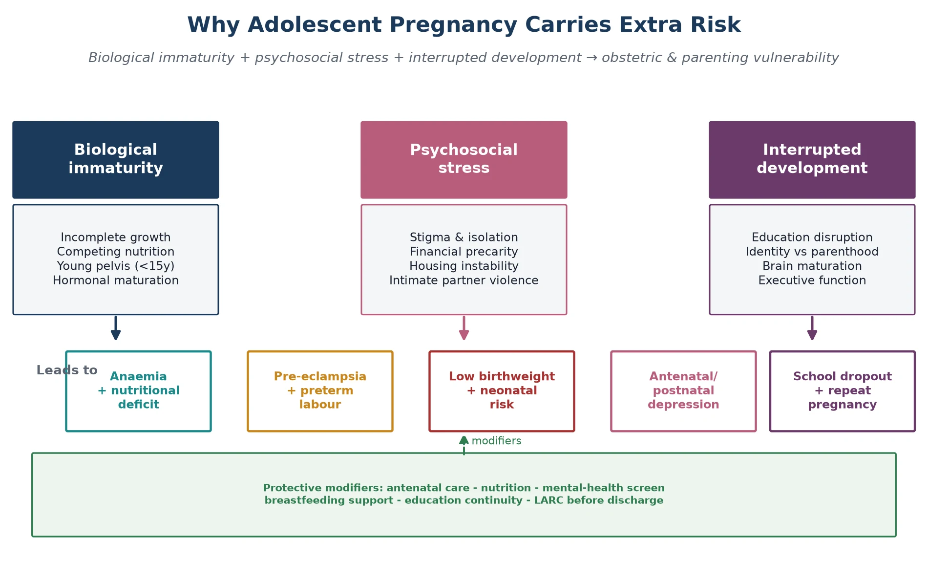 Educational mechanism diagram linking biological immaturity, psychosocial stress and interrupted development to adolescent pregnancy risks and protective modifiers