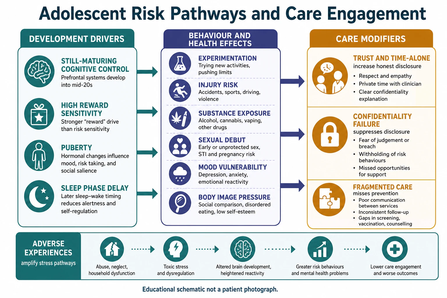 Educational mechanism diagram linking adolescent brain development, puberty and sleep to risk behaviours and showing how confidentiality supports disclosure