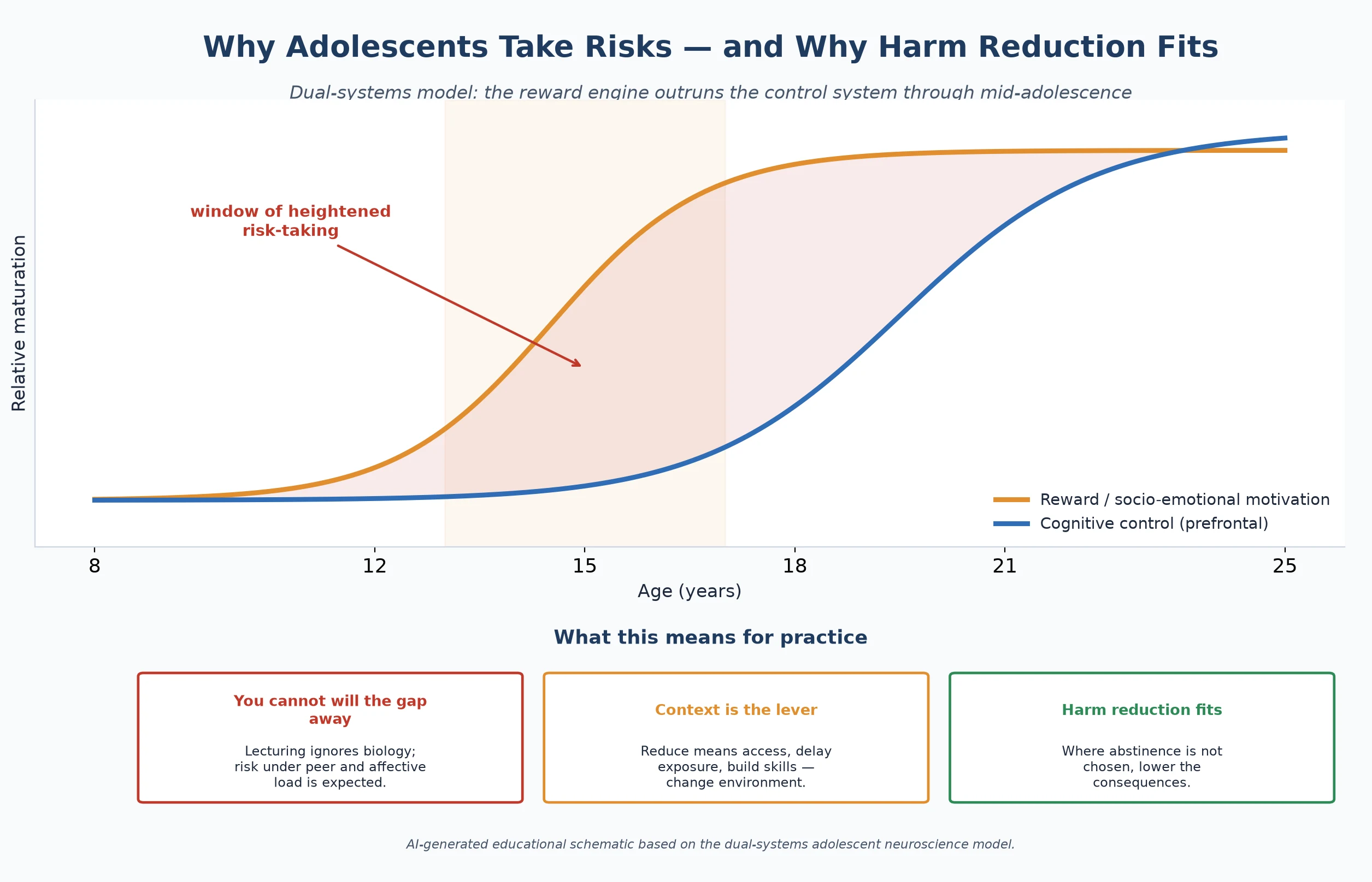 Educational dual-systems diagram showing reward and cognitive-control maturation curves with the adolescent risk window and harm-reduction implications
