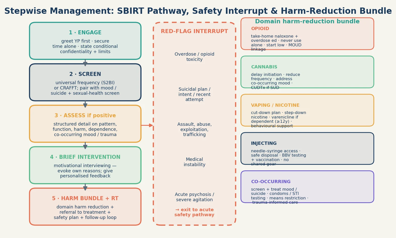 Educational stepwise SBIRT management algorithm with a red-flag safety interrupt and a domain-specific harm-reduction bundle covering opioid, cannabis, vaping, injecting and co-occurring domains