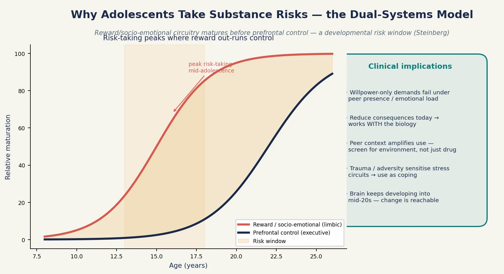 Educational dual-systems diagram showing reward and cognitive-control maturation curves across age with the adolescent risk window and harm-reduction implications