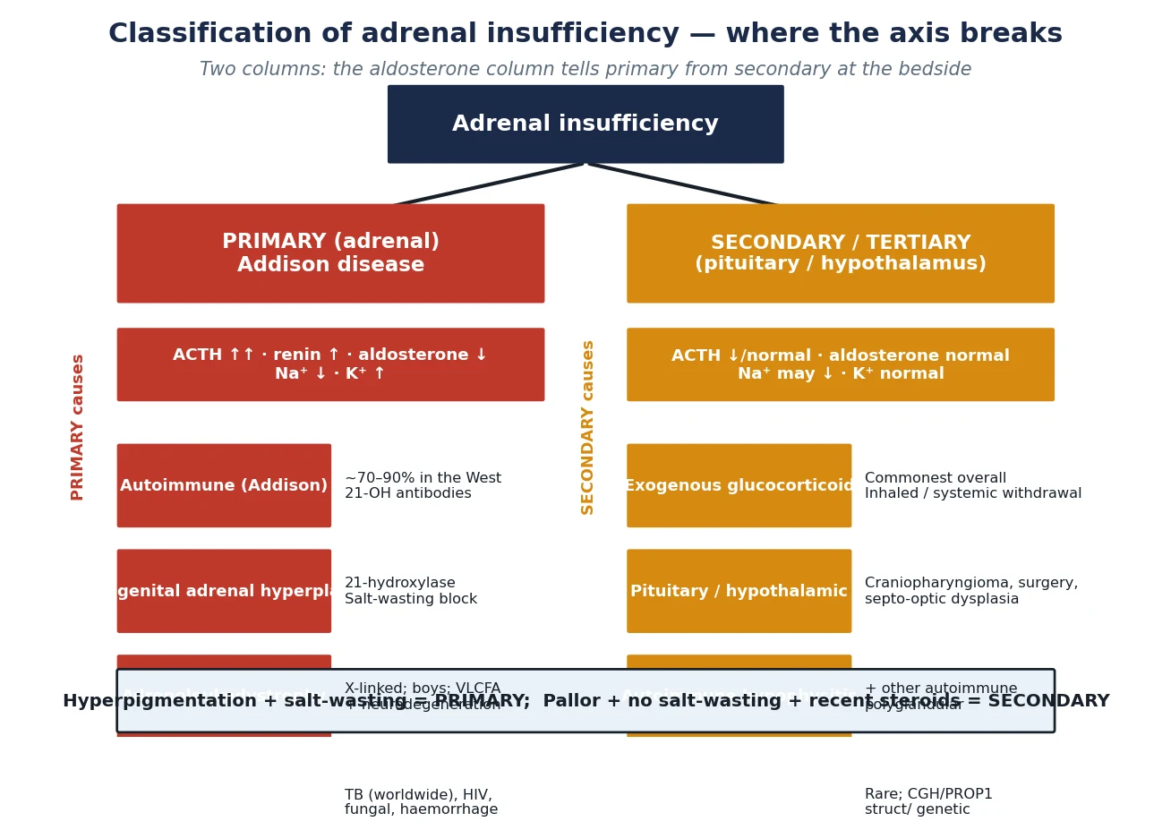 Classification of adrenal insufficiency splitting the hypothalamic-pituitary-adrenal axis into primary adrenal failure with high ACTH, high renin, low aldosterone, hyperkalaemia and hyperpigmentation, and secondary or tertiary disease with low ACTH, normal aldosterone and normal potassium, each with its common paediatric causes.