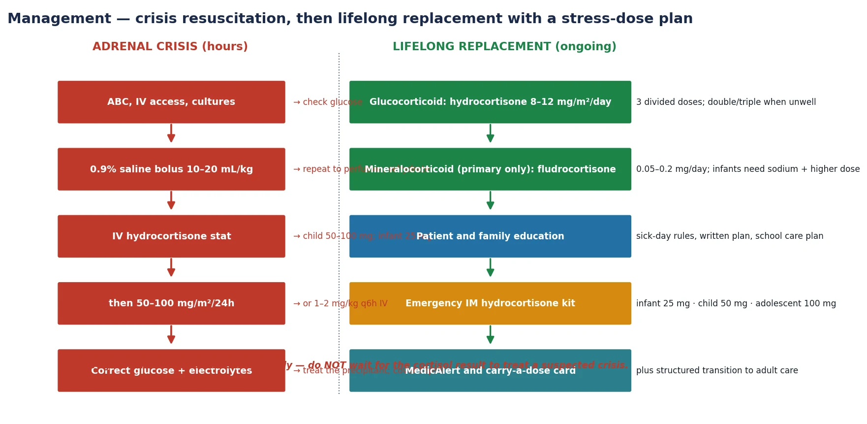 Management algorithm from the recognition of adrenal crisis through ABC and intravenous access, 0.9% saline bolus, parenteral hydrocortisone stat then a continuous or divided hydrocortisone regimen, glucose and electrolyte correction, then lifelong hydrocortisone and fludrocortisone replacement with a stress-dose and emergency-injection plan.