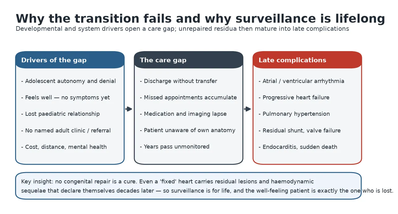 Educational mechanism schematic in three columns: the drivers of the care gap (adolescent autonomy and denial, feeling well with no symptoms, loss of the paediatric relationship, no named adult clinic, cost and distance and mental health), the care gap itself (discharge without transfer, missed appointments, medication and imaging lapse, patient unaware of own anatomy, years pass unmonitored), and the late complications (atrial and ventricular arrhythmia, progressive heart failure, pulmonary hypertension, residual shunt and valve failure, endocarditis and sudden death), with a key insight that no congenital repair is a cure