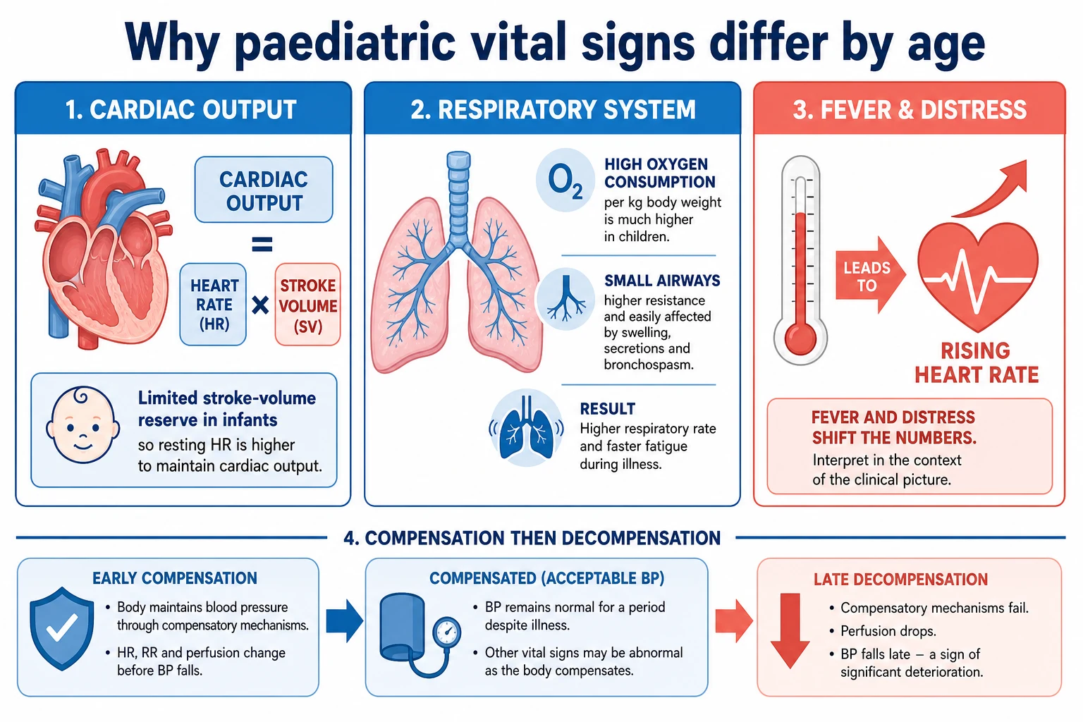 Age-related physiology explaining why vital sign norms change with development
