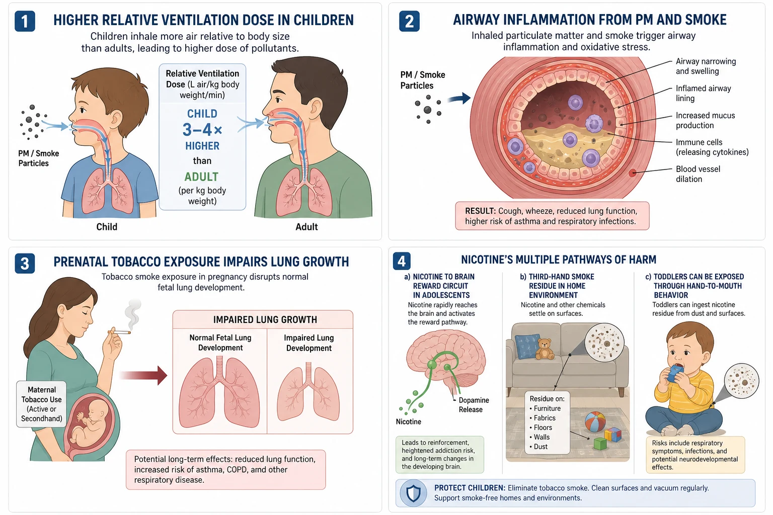 Four-panel educational schematic of childhood high relative pollution dose, airway inflammation, impaired lung growth from tobacco smoke, nicotine brain reward pathways, and third-hand surface residues