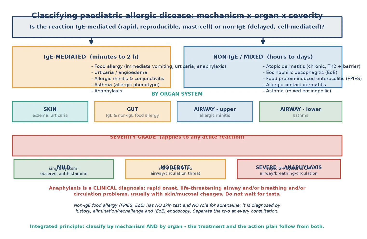 Classification of paediatric allergic disease by mechanism (IgE-mediated versus non-IgE/mixed) and by organ system (skin, gut, upper airway, lower airway), with a severity grade strip from mild single-system through moderate multisystem to severe anaphylaxis, and notes that anaphylaxis is a clinical diagnosis and that non-IgE disease has no role for skin testing or adrenaline.