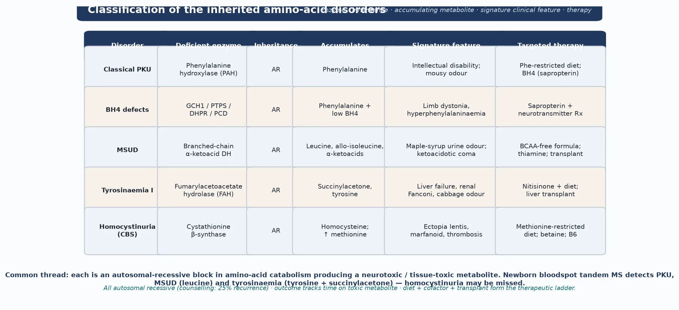 A six-column comparison table of the five prototypical aminoacidopathies (classical PKU, BH4 cofactor defects, maple syrup urine disease, tyrosinaemia type I and classical homocystinuria) showing the deficient enzyme, autosomal-recessive inheritance, the accumulating metabolite, the signature clinical feature and the targeted therapy, with a footer on newborn bloodspot tandem-mass-spectrometry detection and the 25 percent recurrence counselling