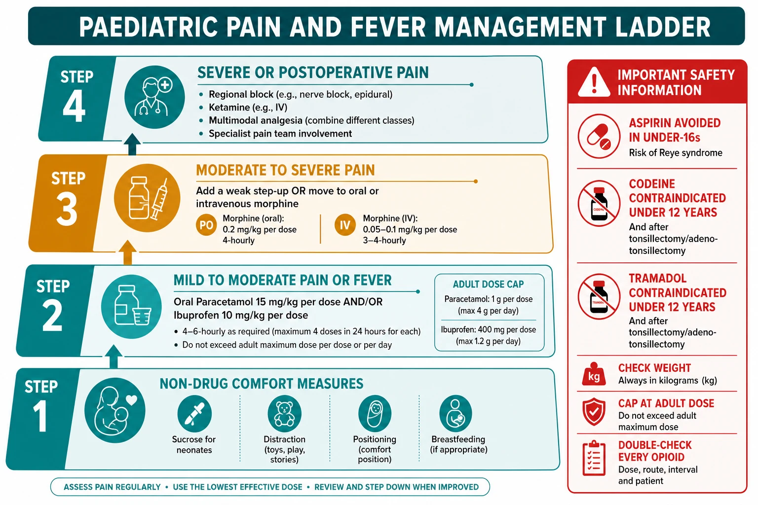 Reviewed educational vertical flowchart of the WHO analgesic ladder adapted for children. Step 1 at the base: non-pharmacological comfort, oral sucrose for neonates, breastfeeding, distraction and positioning, plus paracetamol 15 mg per kg per dose or ibuprofen 5 to 10 mg per kg per dose for mild fever or pain, with the adult dose cap noted. Step 2: low-dose oral or intravenous morphine for moderate pain, replacing the historical weak-opioid step. Step 3: morphine, regional block, ketamine and multimodal analgesia with the specialist pain team for severe or postoperative pain. A red warning strip on the right: aspirin avoided in under-16s Reye syndrome; codeine and tramadol contraindicated under 12 and after tonsillectomy; weigh in kg, cap at the adult dose, double-check every opioid.