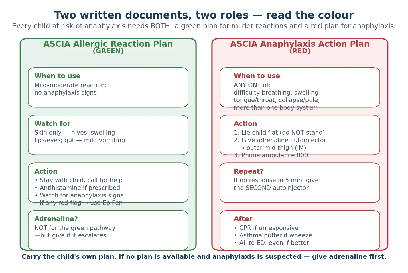 Two-column schematic comparing the green ASCIA Allergic Reaction Plan (mild-moderate, no adrenaline, watch for escalation) with the red ASCIA Anaphylaxis Action Plan (lie flat, intramuscular adrenaline, ambulance, repeat dose), with a dose-decision footer