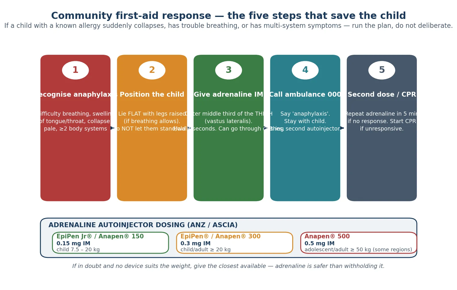 Five-step horizontal community first-aid algorithm — recognise anaphylaxis, position the child flat, give adrenaline intramuscularly into the outer mid-thigh, call ambulance 000, give a second dose or start CPR — with a weight-band autoinjector dose table below