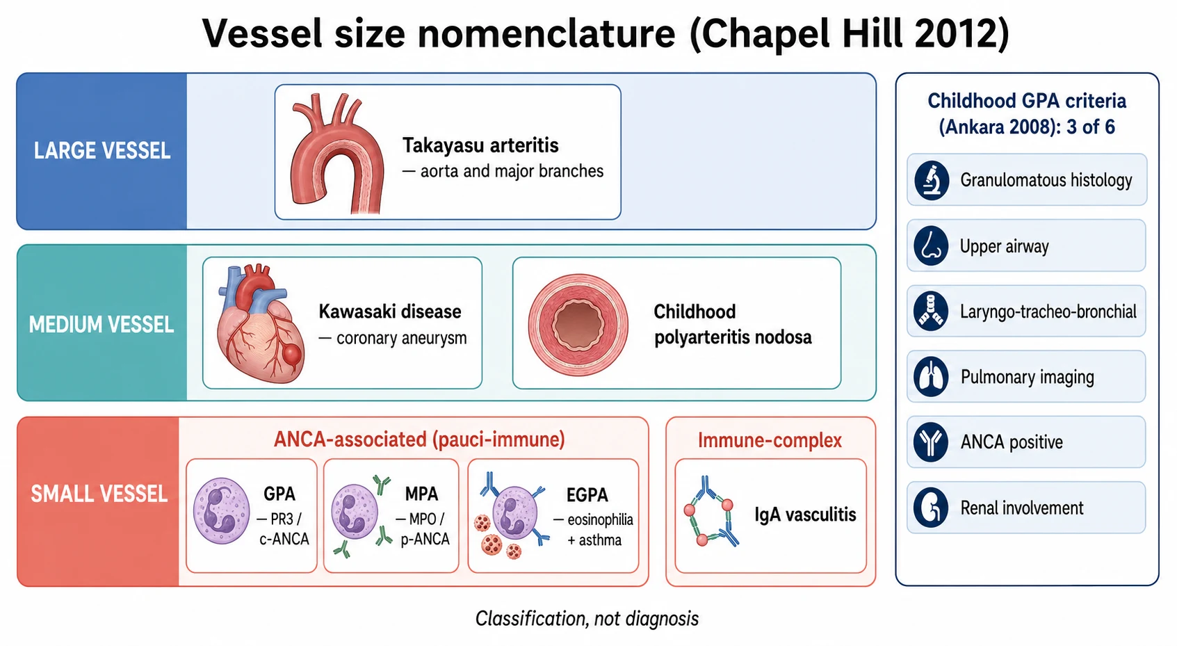 A clean medical-education classification diagram on a white background titled Vessel size nomenclature Chapel Hill 2012. Three horizontal swim-lanes: a slate-blue Large Vessel lane with a Takayasu arteritis card showing aortic arch wall thickening; a teal Medium Vessel lane with Kawasaki disease and childhood polyarteritis nodosa cards; a coral Small Vessel lane split into ANCA-associated pauci-immune (GPA, MPA, EGPA) and immune-complex (IgA vasculitis). A side panel lists the Ankara 2008 childhood GPA criteria as 3 of 6: granulomatous histology, upper airway, laryngo-tracheo-bronchial, pulmonary imaging, ANCA positive, renal involvement. A footnote reads classification not diagnosis.
