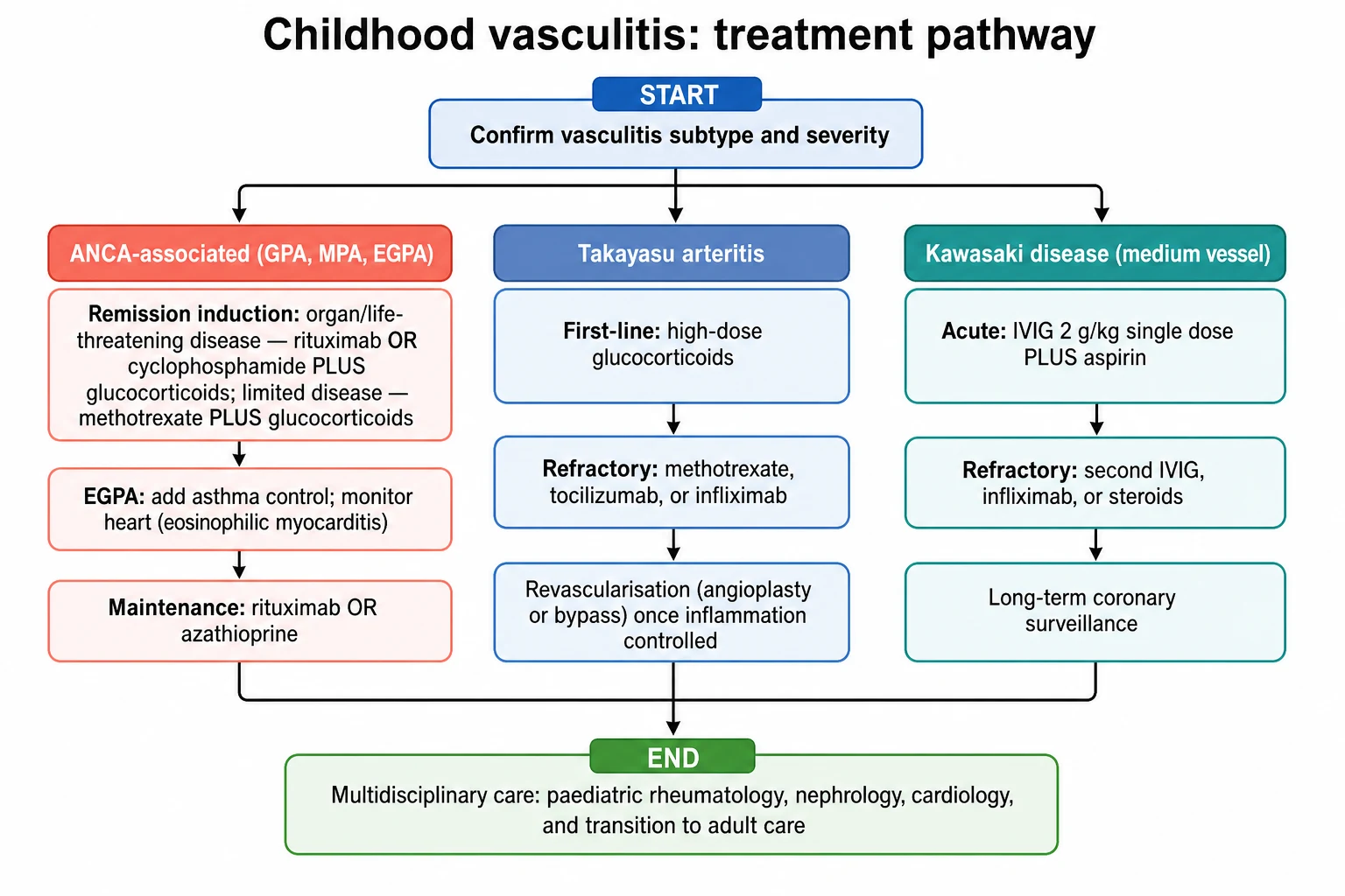 A clean medical-education management flowchart on a white background titled Childhood vasculitis treatment pathway. A blue start box reads confirm vasculitis subtype and severity. Three parallel columns: a coral ANCA-associated column with remission induction rituximab or cyclophosphamide plus glucocorticoids, EGPA asthma and cardiac monitoring, and maintenance rituximab or azathioprine; a slate-blue Takayasu arteritis column with first-line high-dose glucocorticoids, refractory methotrexate tocilizumab or infliximab, and revascularisation once inflammation controlled; a teal Kawasaki column with intravenous immunoglobulin and aspirin, refractory second immunoglobulin infliximab or steroids, and coronary surveillance. A green end box reads multidisciplinary care rheumatology nephrology cardiology and transition to adult care.
