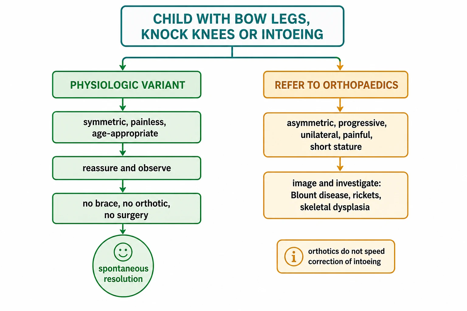 Decision-pathway flowchart. At the top a box labelled Child with bow legs, knock knees or intoeing splits into two routes. Left green route labelled Physiologic Variant flows through boxes symmetric painless age-appropriate, then reassure and observe, then no brace no orthotic no surgery, ending in a green circle labelled spontaneous resolution. Right amber route labelled Refer to Orthopaedics flows through a box of red flags asymmetric progressive unilateral painful short stature, then a box image and investigate Blount disease rickets skeletal dysplasia. A note at the bottom reads orthotics do not speed correction of intoeing.