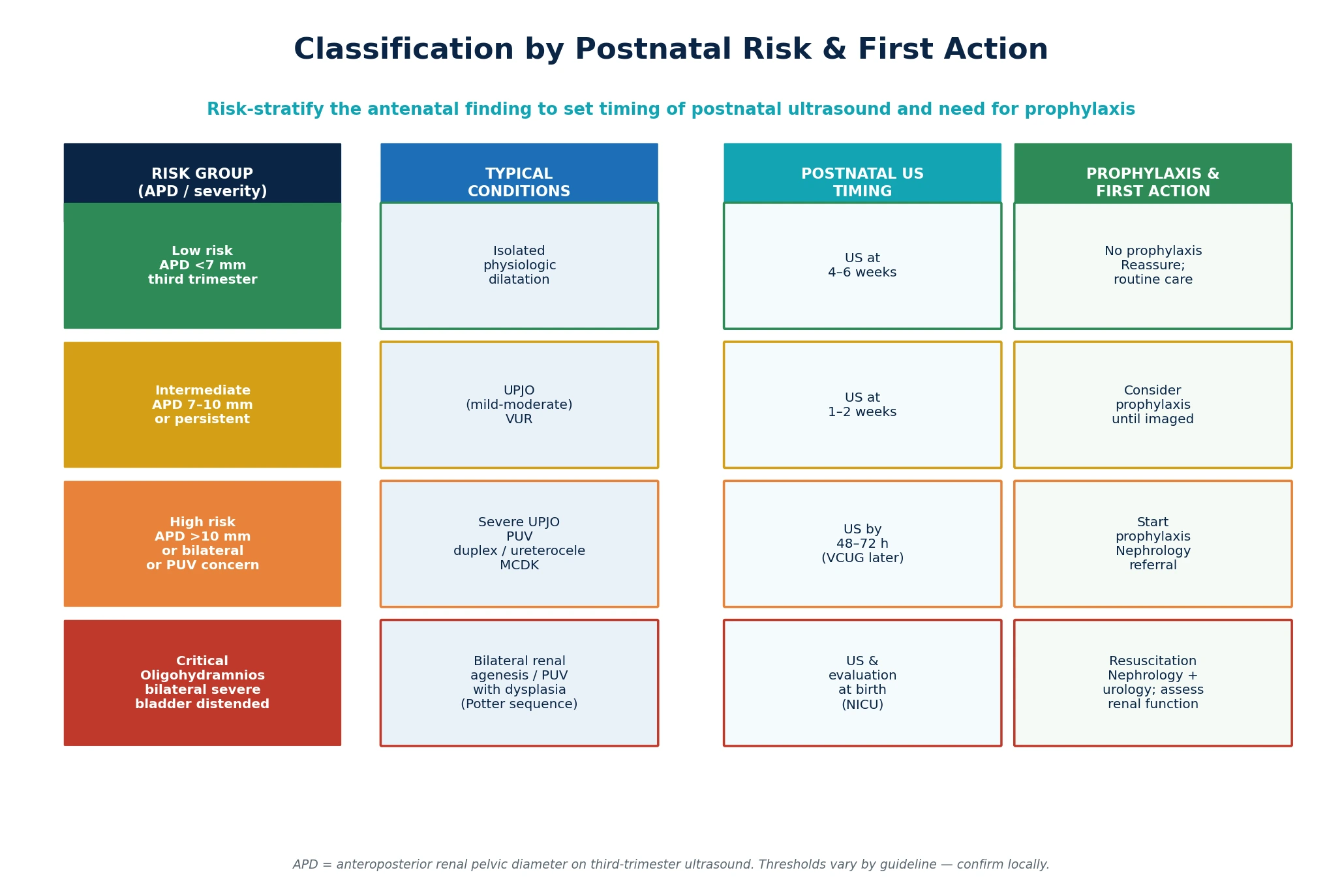Classification matrix mapping anteroposterior pelvic diameter risk bands to typical conditions, postnatal ultrasound timing and prophylaxis