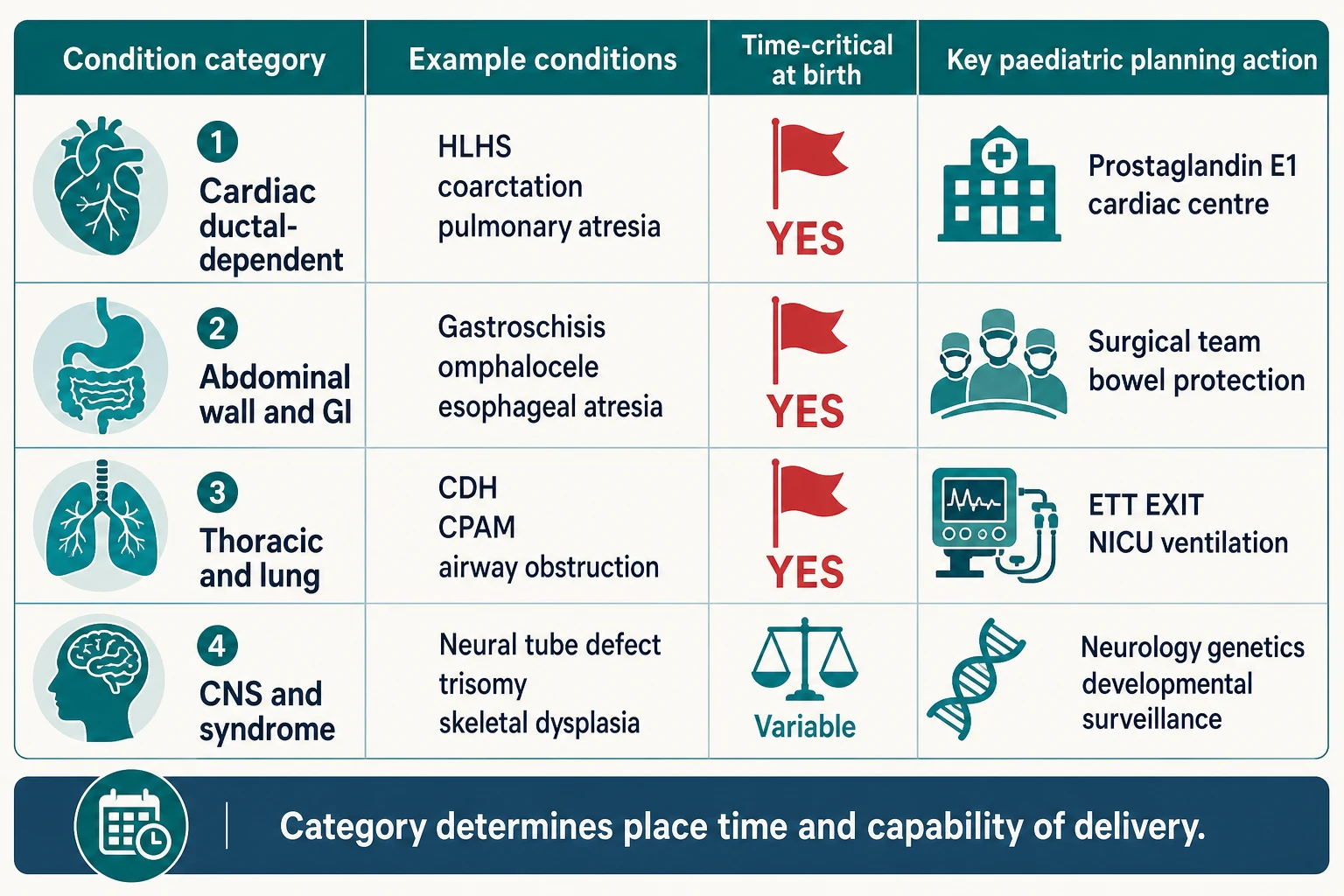 Educational classification matrix mapping four antenatally diagnosed condition categories to example conditions, time-criticality at birth and the key paediatric planning action
