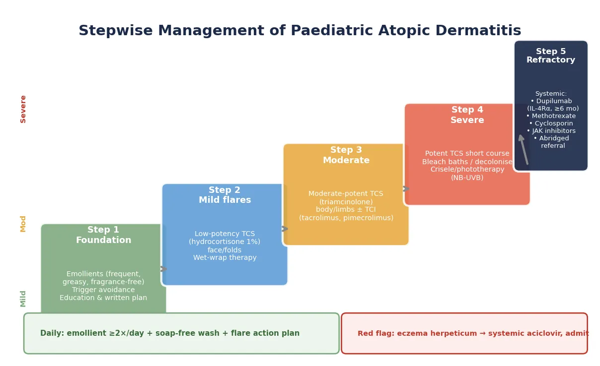Five-step management ladder from confirming the defect, through immunoglobulin replacement and infection prophylaxis, to lung surveillance and transition to adult immunology, with key rules in a footer