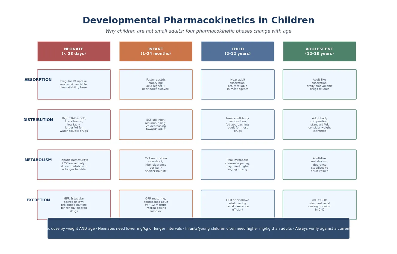Educational schematic of developmental pharmacokinetics showing four age columns (neonate, infant, child, adolescent) across four ADME rows (absorption, distribution, metabolism, excretion), with each cell describing the maturational changes and their dosing consequences, and a practical teaching banner at the bottom