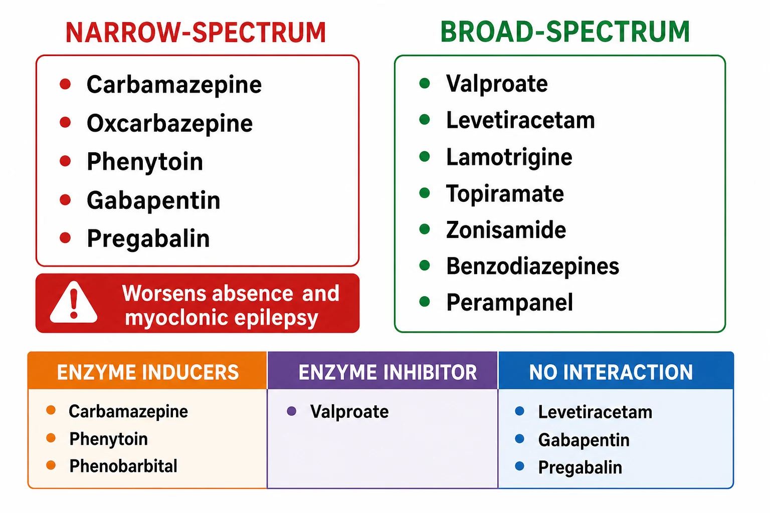 Two-axis classification table of antiseizure medicines. Left column lists narrow-spectrum drugs in red: carbamazepine, oxcarbazepine, phenytoin, gabapentin, pregabalin, eslicarbazepine with a warning banner reading worsens absence and myoclonic epilepsy. Right column lists broad-spectrum drugs in green: valproate, levetiracetam, lamotrigine, topiramate, zonisamide, benzodiazepines, perampanel, felbamate. A bottom strip colour-codes enzyme inducers as orange (carbamazepine, phenytoin, phenobarbital), enzyme inhibitor as purple (valproate), and no-interaction drugs as blue (levetiracetam, gabapentin, pregabalin).