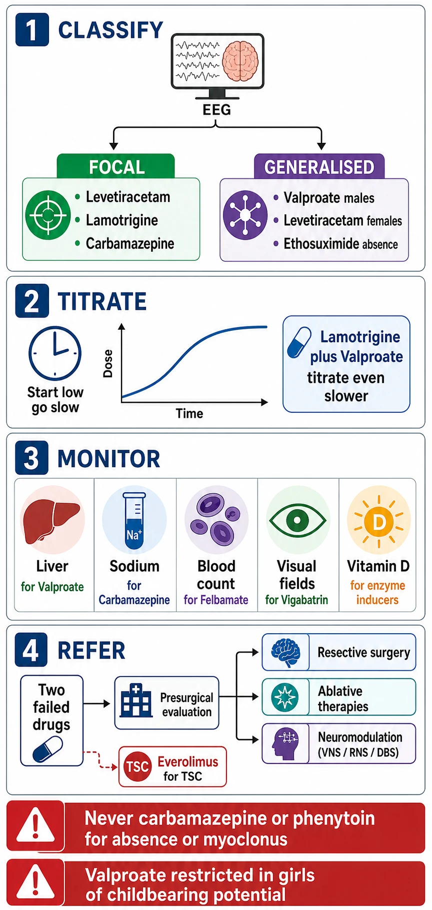 Four-step vertical management algorithm. Step one Classify shows an EEG icon splitting into focal pathway leading to levetiracetam, lamotrigine, carbamazepine and a generalised pathway leading to valproate in males, levetiracetam or lamotrigine in females, ethosuximide for absence. Step two Titrate shows a slow-rising curve with a clock icon and text start low go slow, with a lamotrigine plus valproate warning chip. Step three Monitor shows a grid of icons: liver for valproate, sodium for carbamazepine, blood count for felbamate, visual fields for vigabatrin, vitamin D for enzyme inducers. Step four Refer shows a presurgical pathway triggered by two failed drugs, with an everolimus branch for tuberous sclerosis complex. Two red warning banners at the bottom read never carbamazepine or phenytoin for absence or myoclonus and valproate restricted in girls of childbearing potential.