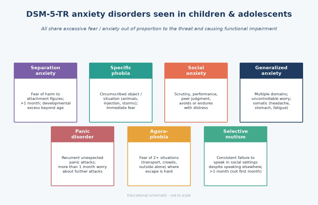 Educational diagram of seven DSM-5-TR anxiety disorders in children: separation anxiety, specific phobia, social anxiety, generalised anxiety, panic disorder, agoraphobia and selective mutism, each with discriminator descriptors and duration anchors