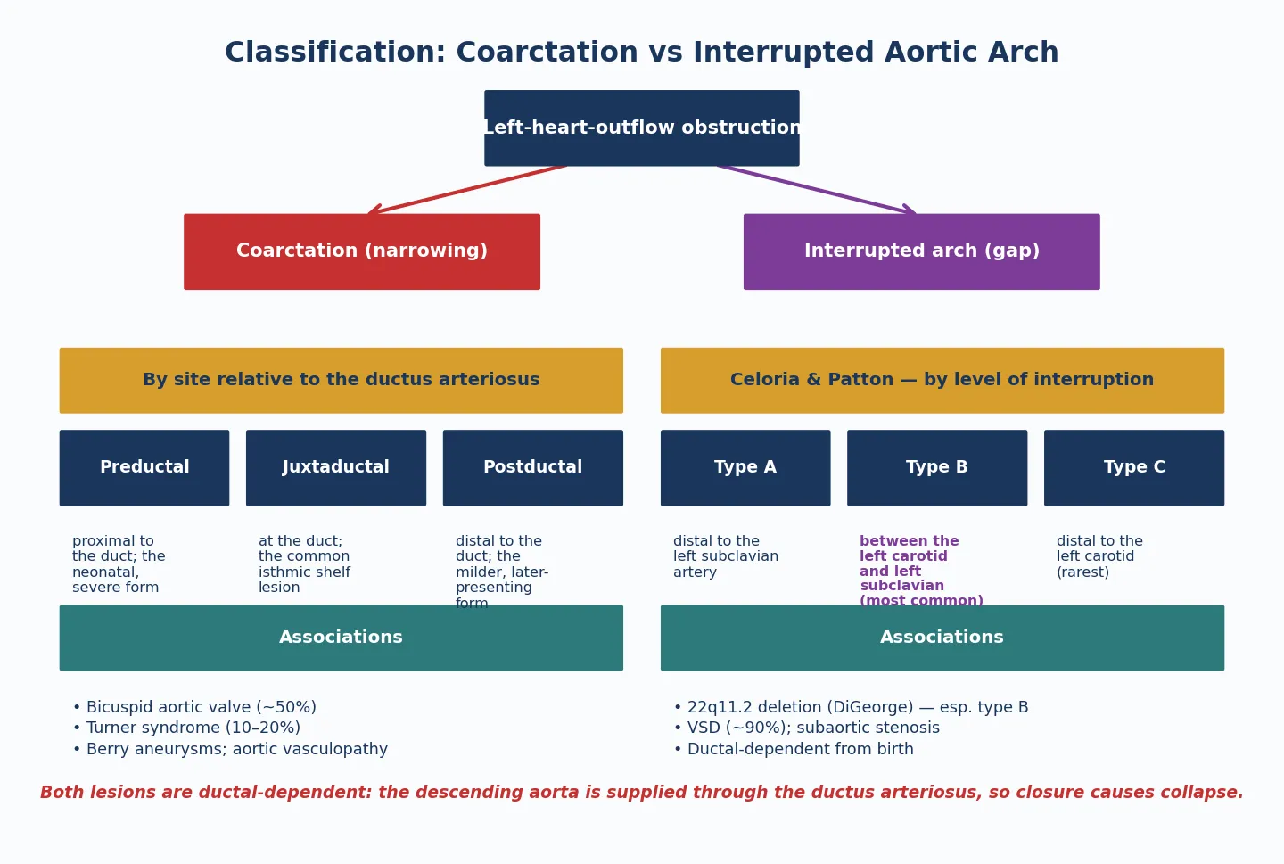 Classification map showing aortic stenosis in three levels (supravalvar with Williams syndrome, valvar with bicuspid aortic valve, subvalvar with membrane or Shone complex) and pulmonary stenosis in three levels (supravalvar or branch with Noonan, Williams, Alagille, valvar with dome or dysplastic valve, subvalvar infundibular with tetralogy), with a severity band graded by echo peak gradient from mild below 40 through moderate 40 to 64 to severe above 64 mmHg