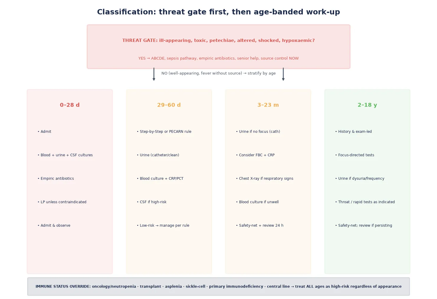 Threat gate at top, then four age-band columns with their work-up steps, and an immune-status override bar at the bottom