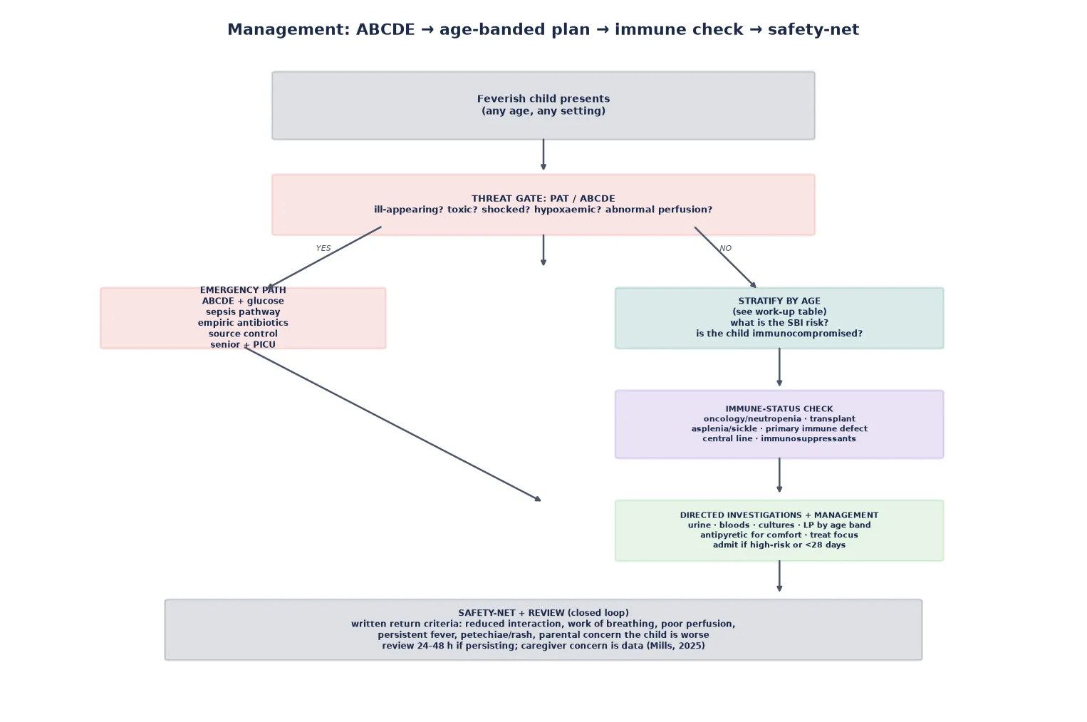 Closed-loop management algorithm with emergency and stratify branches, immune-status check, directed investigations and a safety-net review node