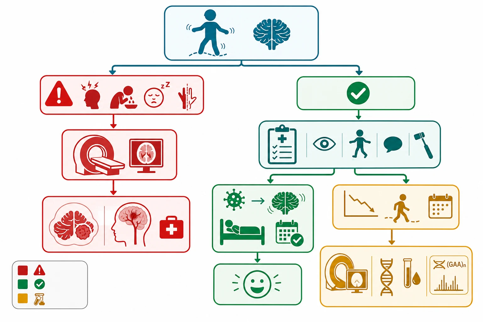 Educational clinical algorithm flowchart for a child presenting with ataxia, branching into a red-flag path leading to urgent magnetic resonance imaging and posterior fossa tumour or stroke management, and a no-red-flag path splitting into acute post-infectious cerebellar ataxia with observation and good prognosis, and chronic progressive ataxia leading to magnetic resonance imaging plus genetic and metabolic testing including Friedreich ataxia GAA repeat testing