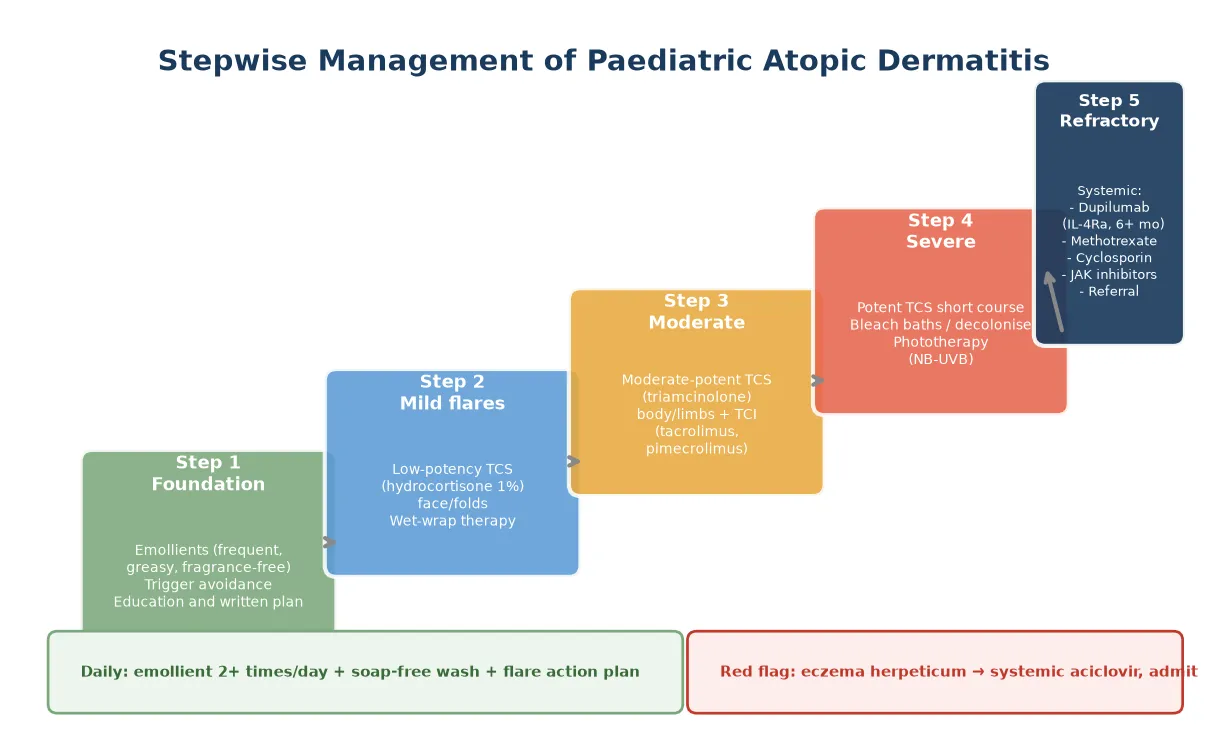 Stepwise management ladder from foundation emollients through low-potency then moderate-potency topical corticosteroids, topical calcineurin inhibitors, phototherapy and finally systemic biologic therapy with dupilumab