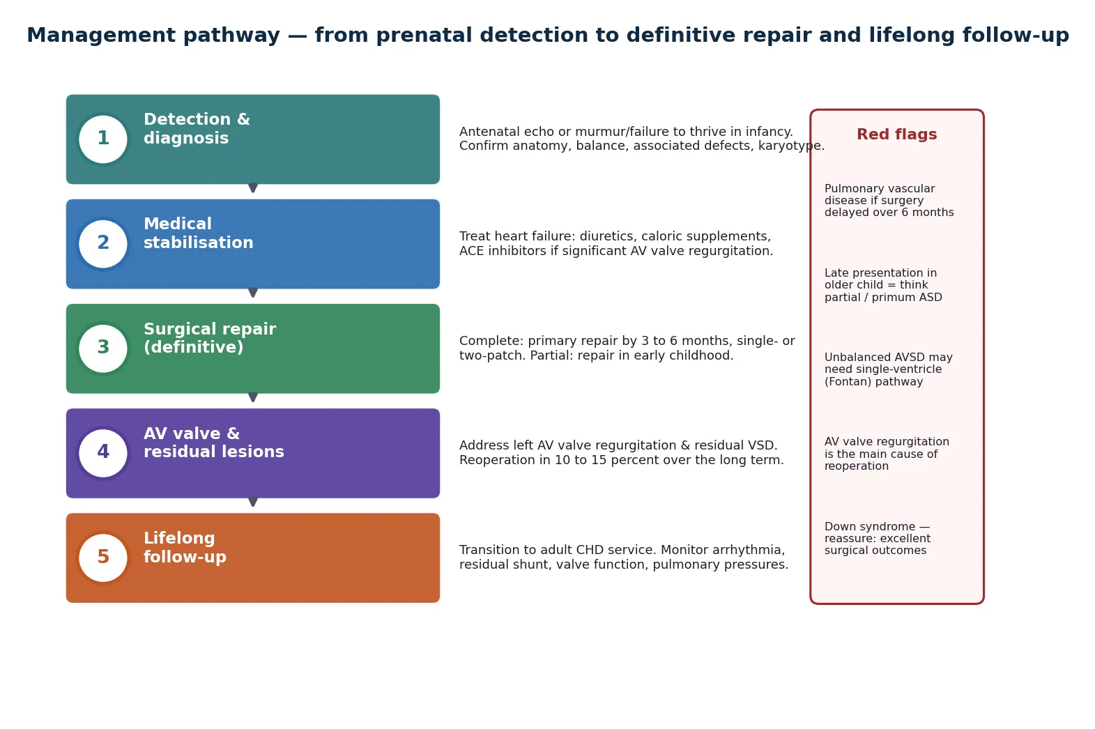 Five-step management pathway from detection and diagnosis through medical stabilisation, surgical repair, AV valve and residual lesion management, and lifelong follow-up with a red-flag side panel