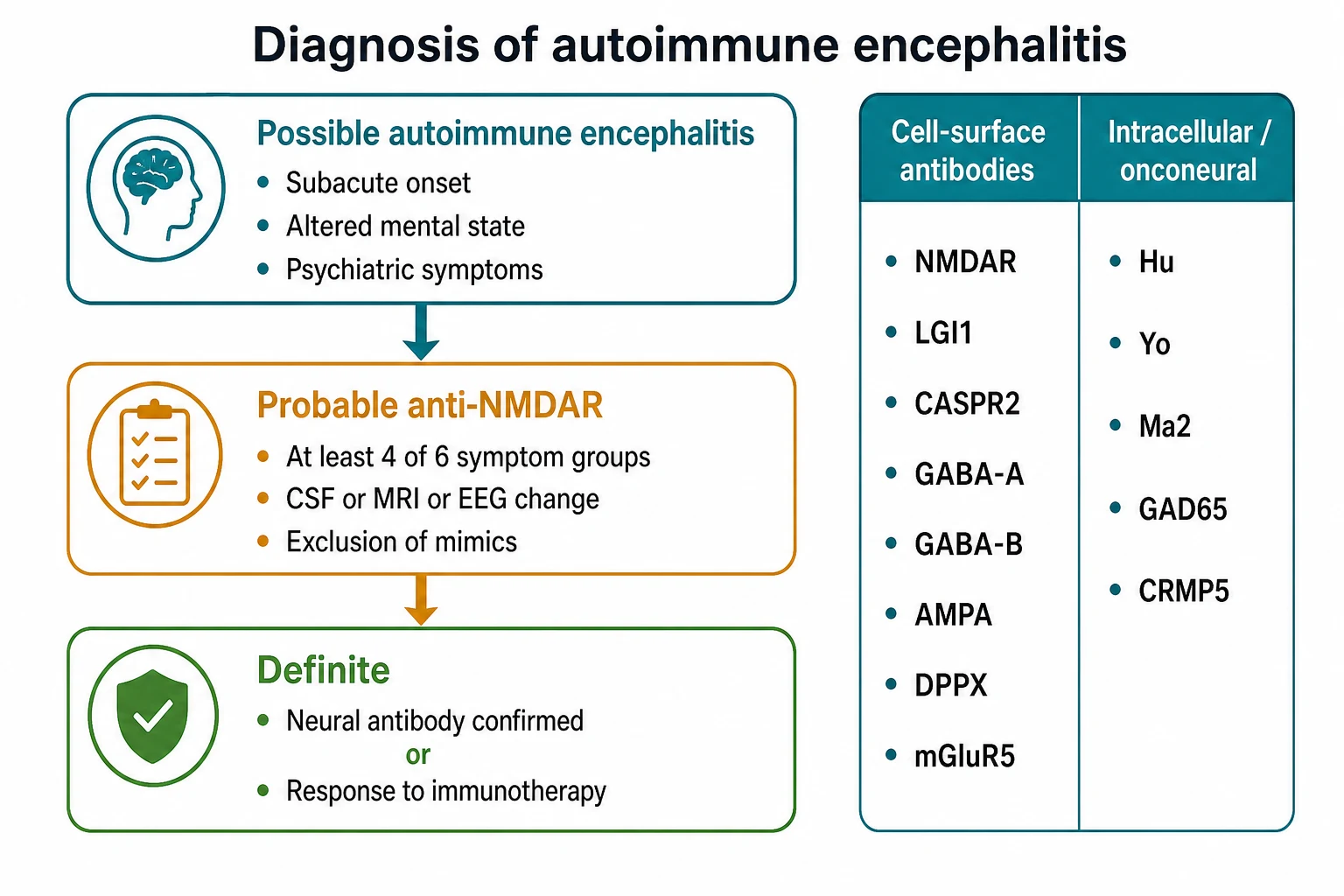 A diagnostic schematic on a white background showing the Graus tiers of possible, probable, and definite autoimmune encephalitis as a downward funnel, alongside a comparison panel of cell-surface antibody targets such as NMDAR and LGI1 against intracellular onconeural targets such as Hu and Ma2.
