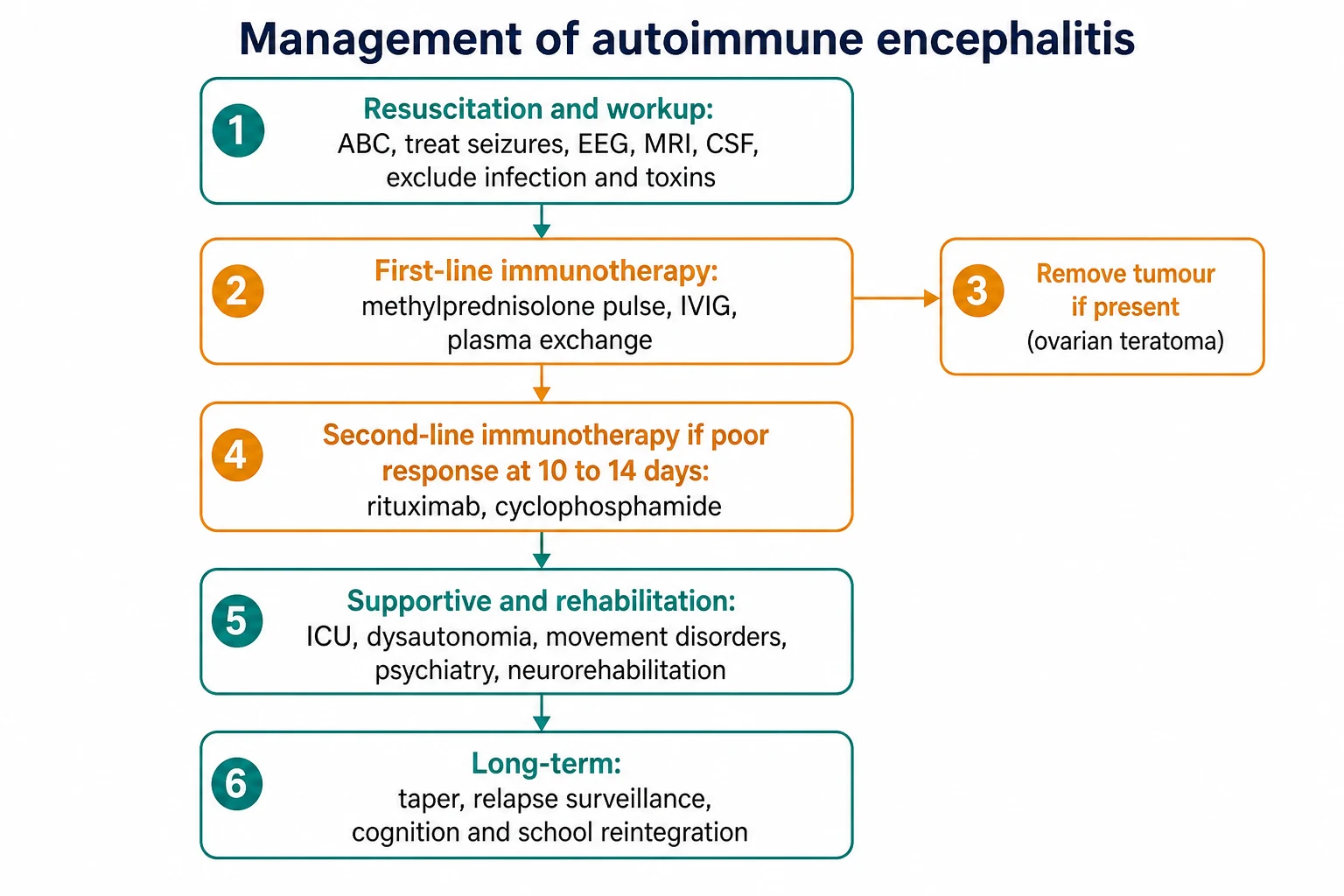 A management algorithm on a white background showing the vertical flow from resuscitation and workup through first-line immunotherapy and tumour removal to second-line immunotherapy at 10 to 14 days, then supportive care and long-term rehabilitation.