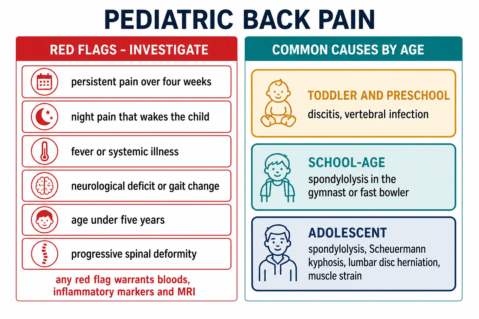 Two-column schematic. Left column titled Red Flags Investigate lists six cards: persistent pain over four weeks, night pain that wakes the child, fever or systemic illness, neurological deficit or gait change, age under five years, progressive spinal deformity. Right column titled Common Causes by Age shows three bands: amber toddler and preschool with discitis and vertebral infection, teal school-age with spondylolysis in the gymnast or fast bowler, navy adolescent with spondylolysis, Scheuermann kyphosis, lumbar disc herniation, and muscle strain.