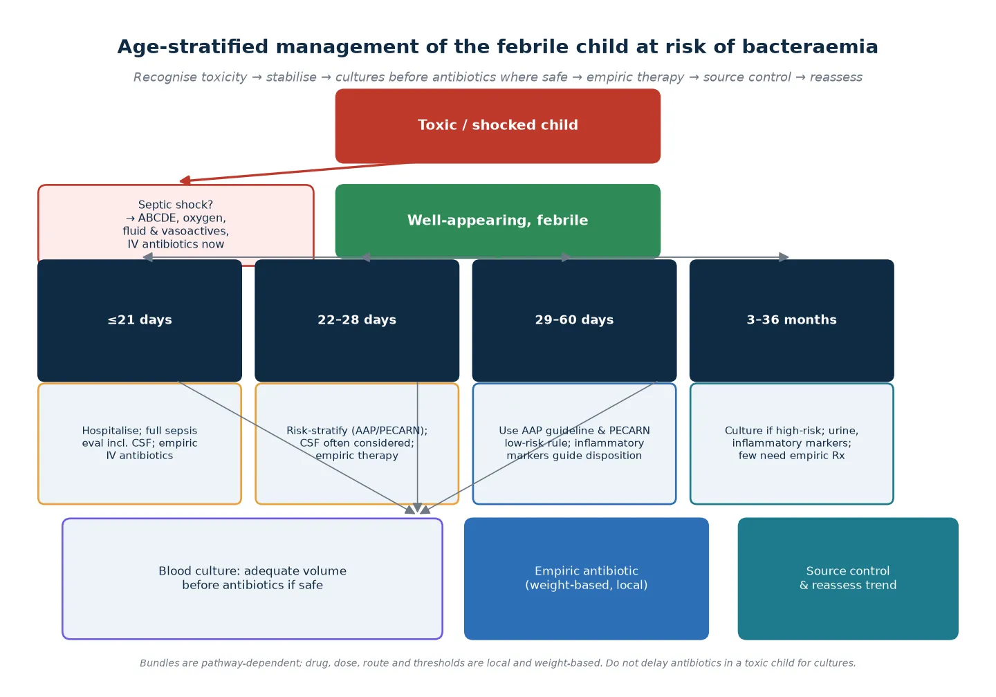 Reviewed educational schematic of an age-stratified management pathway separating the toxic or shocked child into a sepsis resuscitation track and the well-appearing febrile child into age-banded investigation tracks, with a shared bundle of adequate-volume blood culture, weight-based empiric antibiotic, source control and reassessment