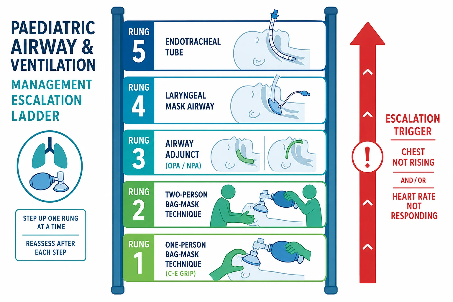 A five-rung vertical escalation ladder for the paediatric airway: rung one one-person bag-mask with a C-E grip, rung two two-person technique with one rescuer performing a two-handed jaw thrust seal and the other squeezing, rung three an oropharyngeal or nasopharyngeal airway adjunct in place, rung four a laryngeal mask airway seated above the glottis, and rung five an endotracheal tube, with a red arrow marking the escalation trigger of chest not rising and heart rate not responding.