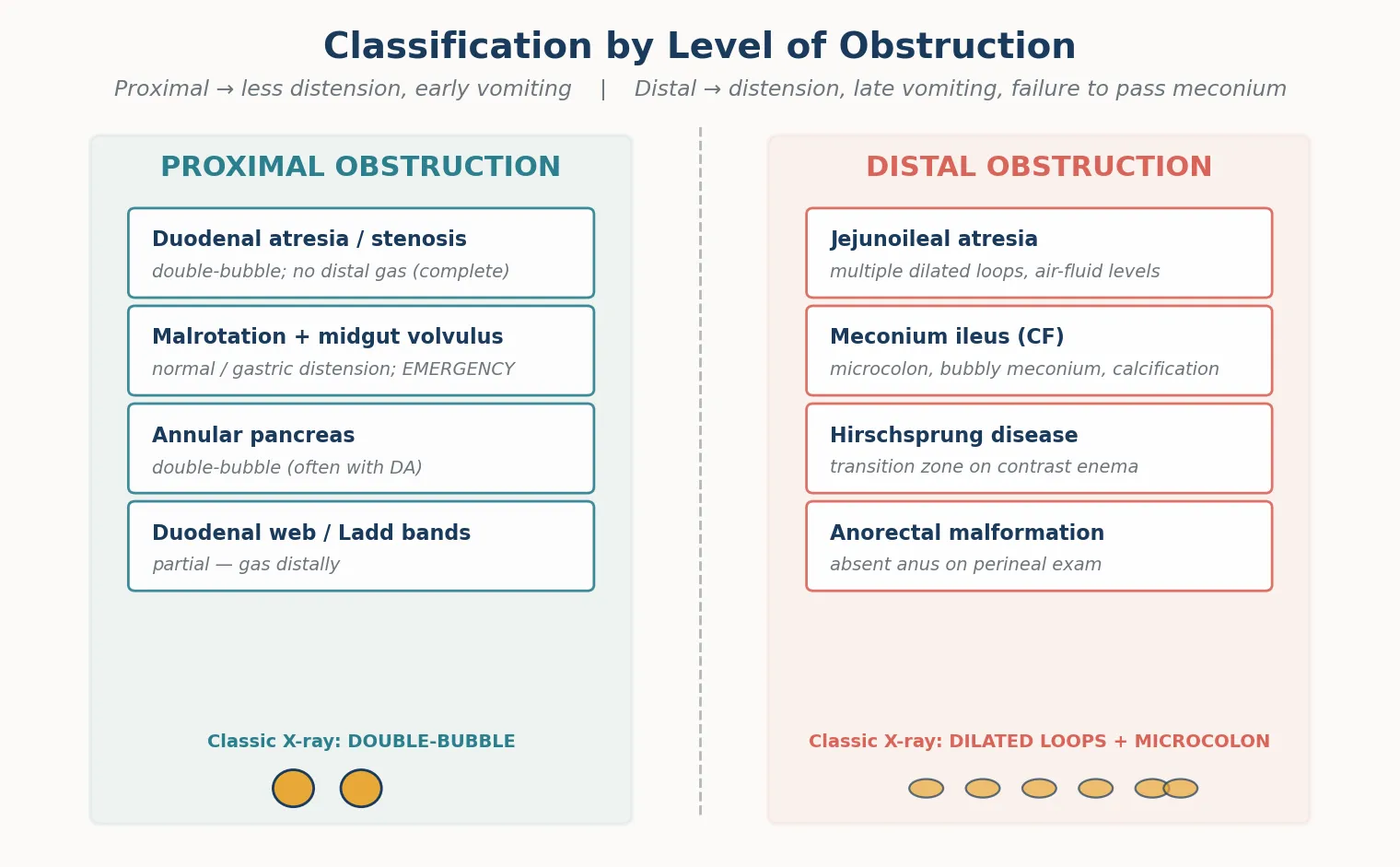 Educational two-column diagram classifying neonatal intestinal obstruction into proximal causes (duodenal atresia, malrotation with volvulus, annular pancreas, duodenal web) and distal causes (jejunoileal atresia, meconium ileus, Hirschsprung disease, anorectal malformation) with their characteristic radiograph patterns