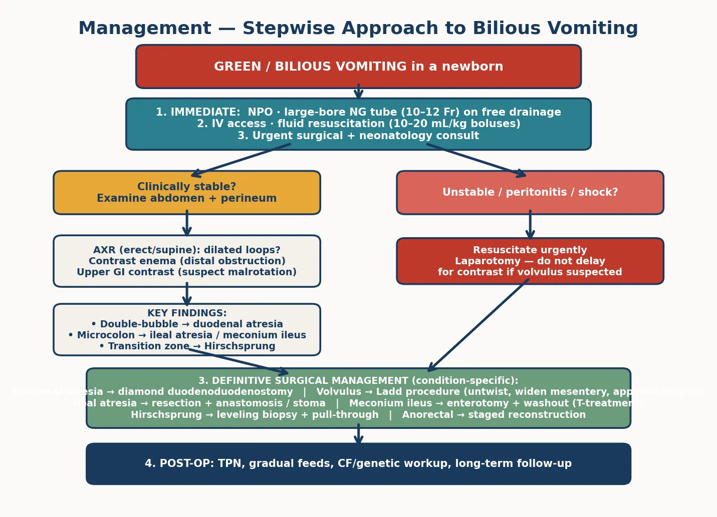 Educational flowchart of the stepwise management of neonatal bilious vomiting — immediate NPO and NG decompression, resuscitation, splitting into stable versus unstable pathways, choice of contrast study, and condition-specific definitive surgical procedures