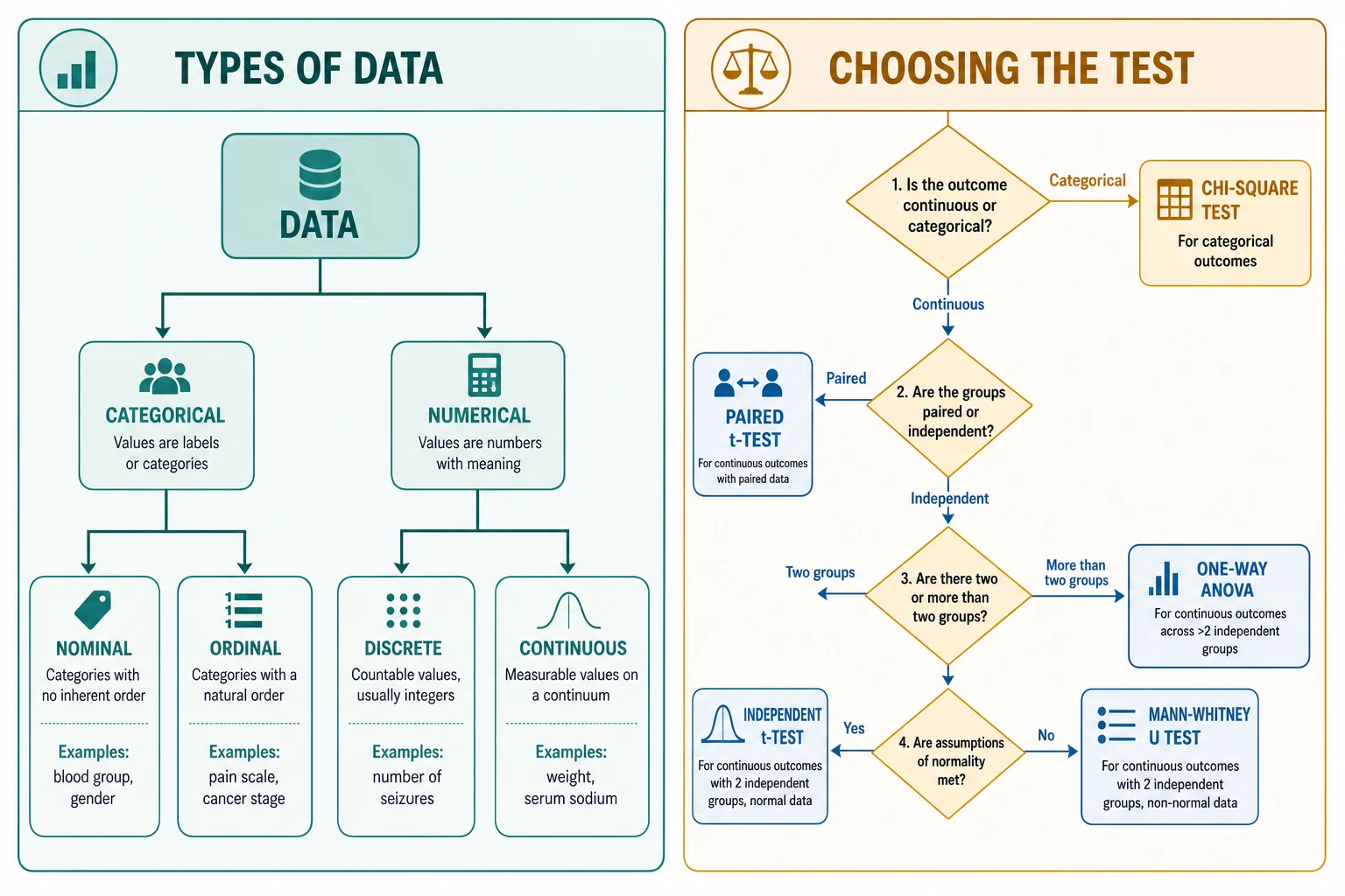 Two-panel infographic showing data classified into categorical and numerical types beside a decision tree that ends in the correct statistical test