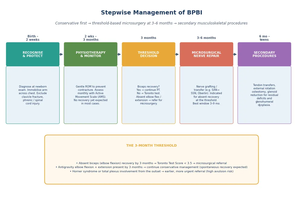 Five-stage stepwise management pathway from recognition and protection at birth through physiotherapy and monthly monitoring, the 3-month biceps threshold decision, microsurgical nerve repair at three to six months, and secondary musculoskeletal procedures from six months through adolescence, with the threshold decision box emphasising absent biceps recovery and Toronto Test Score below 3.5