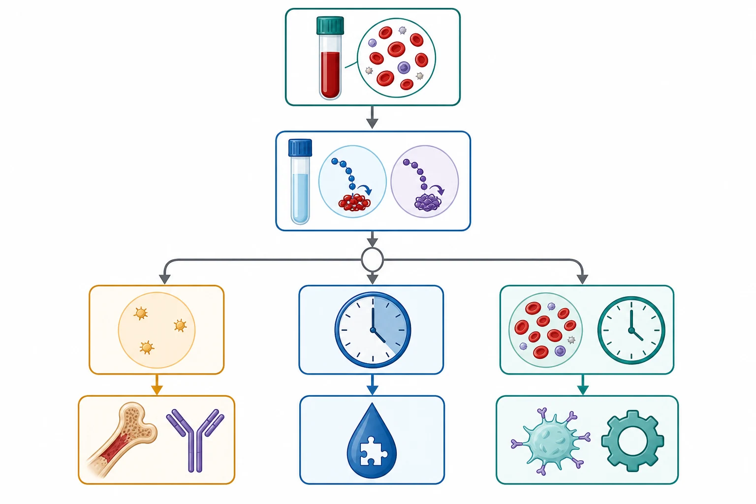 Top-down diagnostic algorithm beginning with blood count and coagulation screen vials at the top, then a three-way branch: a low-platelet path leading to an antibody or bone-marrow icon, a prolonged-clotting-time path leading to a factor-deficiency teardrop icon, and a normal-results path leading to a platelet-function-test gear icon.